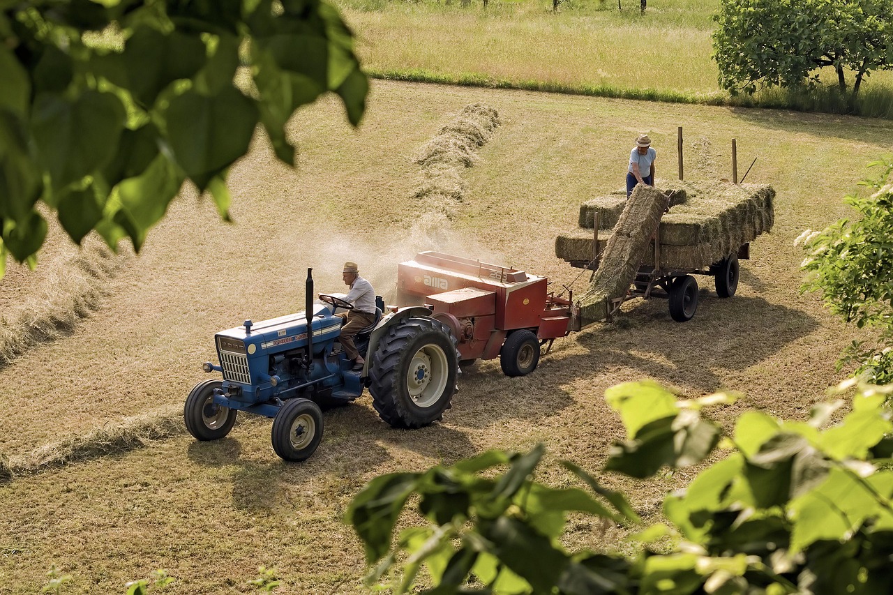 L’agricoltura